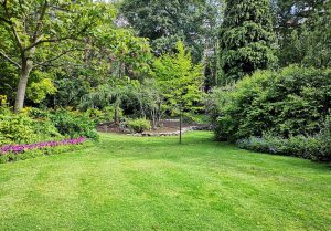 Optimiser l'expérience du jardin à Le Revest-les-Eaux